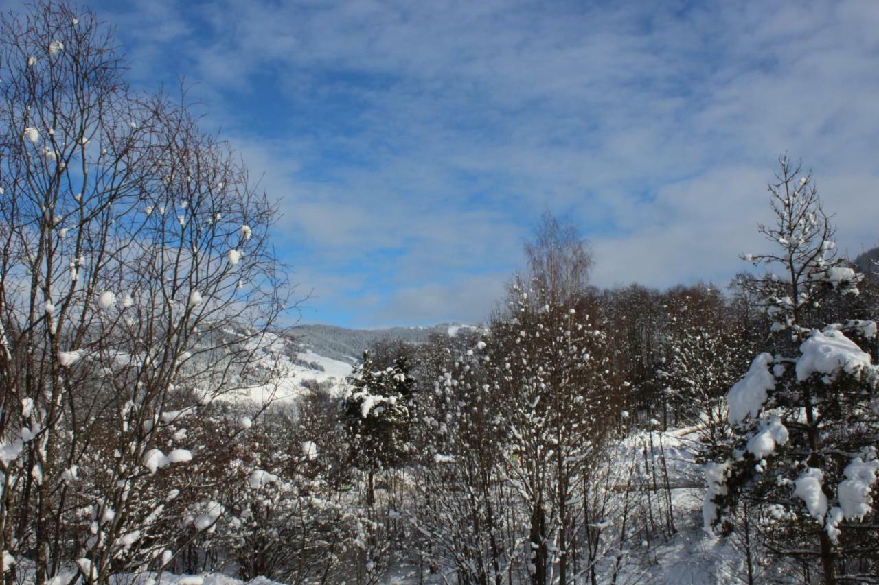 Appartement Schoenfeld Saalbach-Hinterglemm Esterno foto